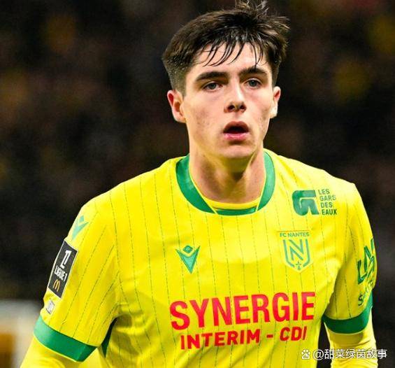 法甲第25轮前瞻：南特对阵昂热