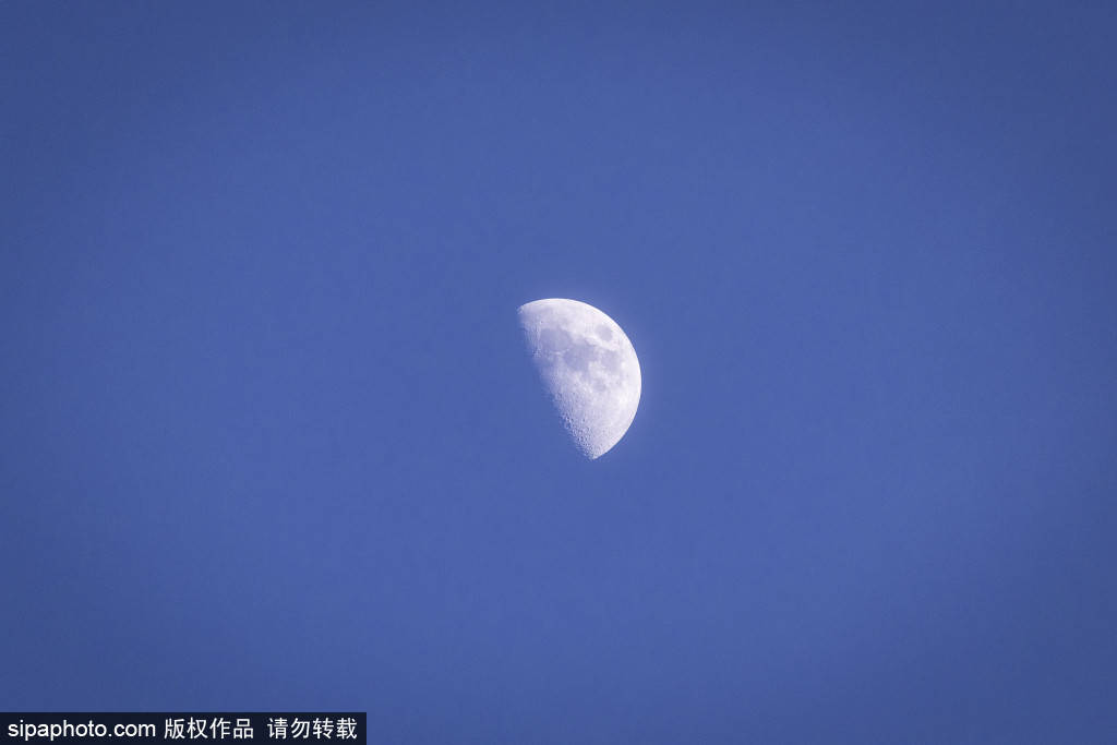 生死边缘的决战！皇家马略卡主场迎战比利亚雷亚尔：保级与欧冠的碰撞